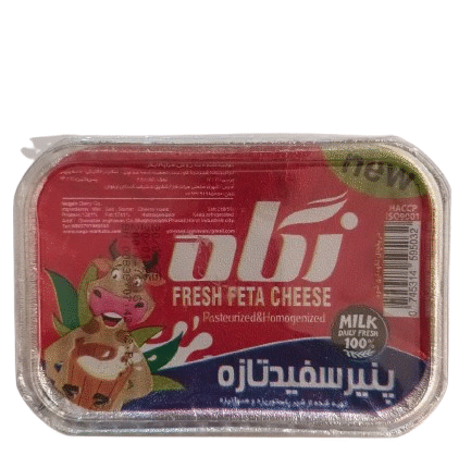 پنیر شور نگاه